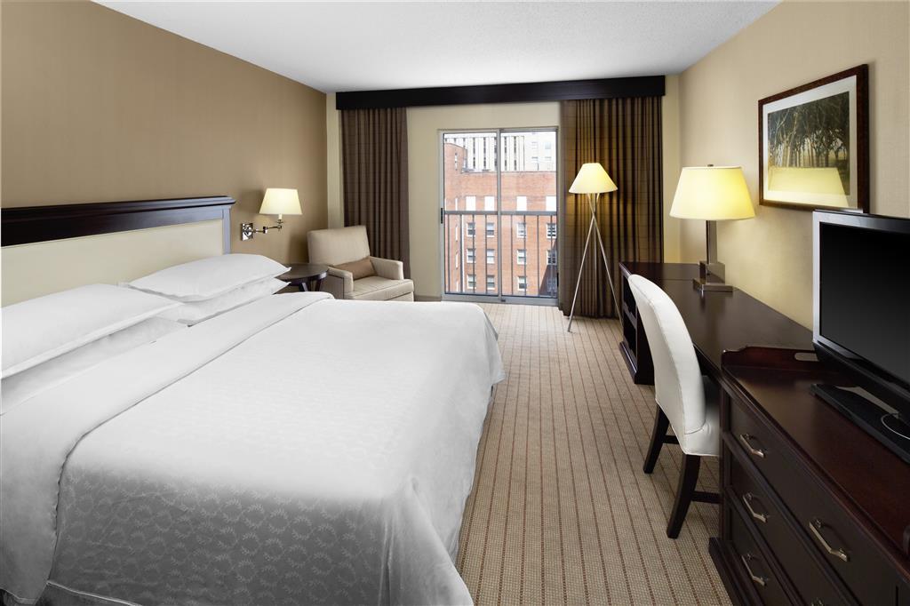 Sheraton Raleigh Hotel Værelse billede
